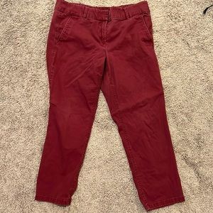 Loft Outlet Maroon Chino Sz 12